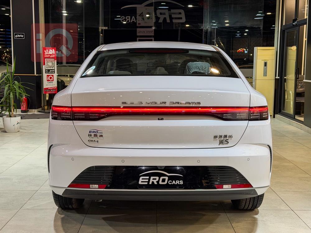 بي واي دي ديستروير 05